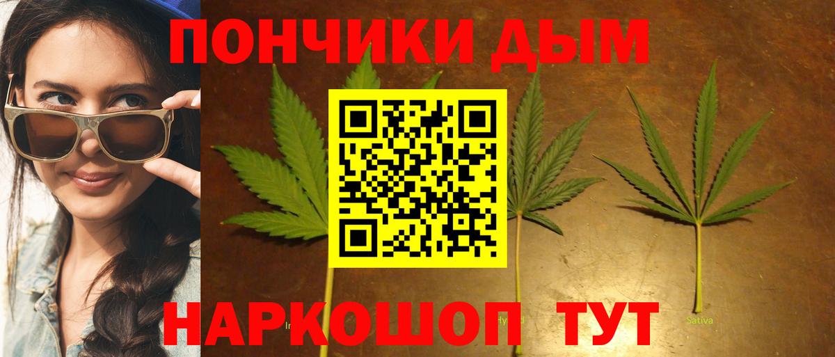 Бошки Шишки планчик Торжок